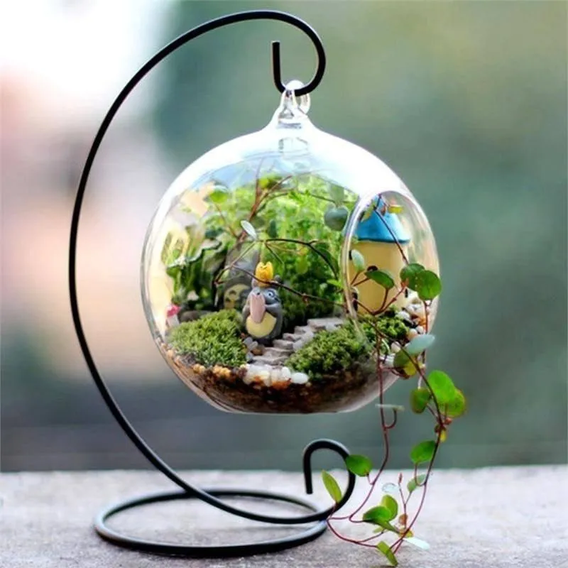 Graceful Globe Glass Terrarium 4/pk